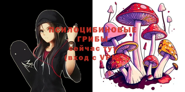 прущие крисы Аркадак