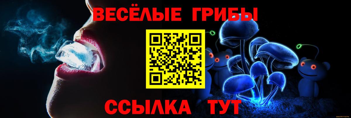 хочу наркоту  Вход с VPN  Дзержинск  Галлюциногенные грибы MAGIC MUSHROOMS 