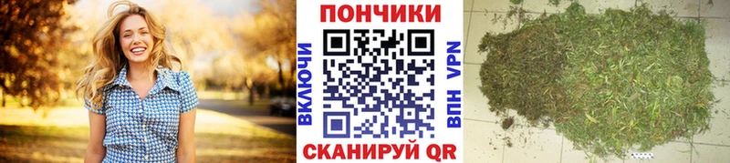 Бошки Шишки SATIVA & INDICA Дзержинск